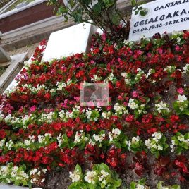 No: 045 Alt Tasarım