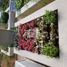 No: 052 Alt Tasarım