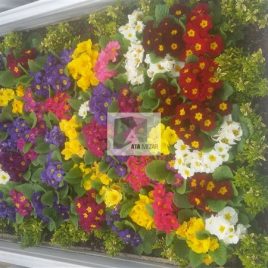 No: 009 Alt Tasarım