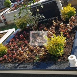 No: 0101 Alt Tasarım