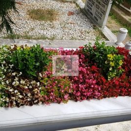 No: 0145 Alt Tasarım