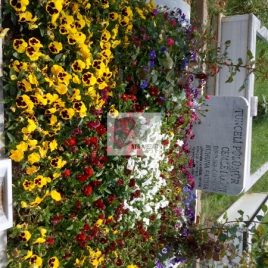 No:0228 Alt Tasarım