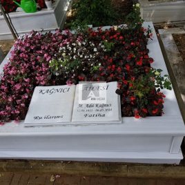 No:0229 Alt Tasarım