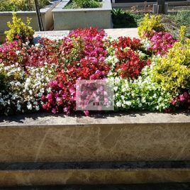 No:0230 Alt Tasarım