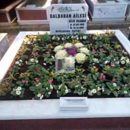 No: 0242 Alt Tasarım