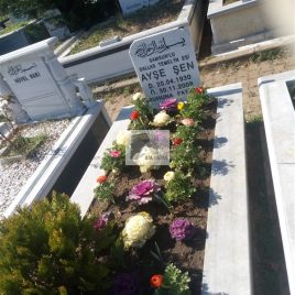 No: 0244 Alt Tasarım