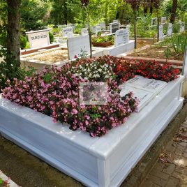 No: 0248 Alt Tasarım