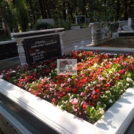 No: 0249 Alt Tasarım