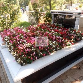 No: 0250 Alt Tasarım