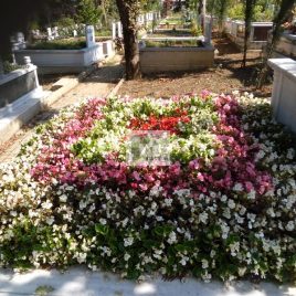 No: 0253 Alt Tasarım