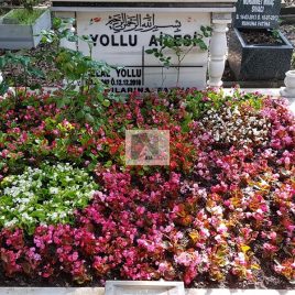 No: 0274 Alt Tasarım