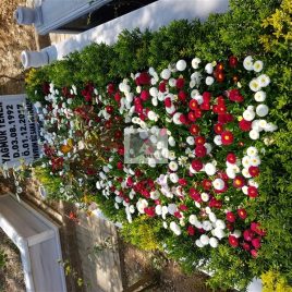 No: 0278 Alt Tasarım