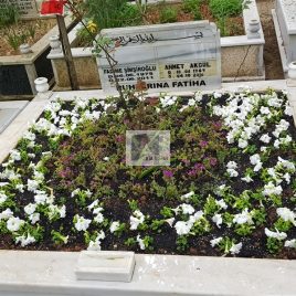 No: 0289 Alt Tasarım