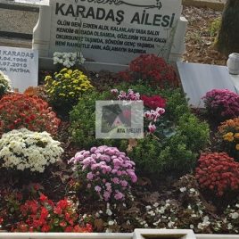 No: 0309 Alt Tasarım