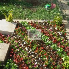 No: 4007 Üst Tasarım