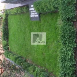 No: 5013 Yeşilik Ve Mevsimlik Çiçek Tasarım