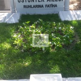 No: 5014 Yeşilik Ve Mevsimlik Çiçek Tasarım