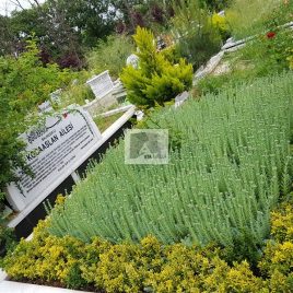 No: 5017 Yeşilik Ve Mevsimlik Çiçek Tasarım