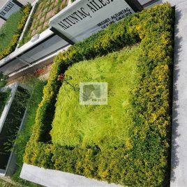 No: 5020  Yeşilik Ve Mevsimlik Çiçek Tasarım