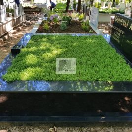 No: 5027 Yeşilik Ve Mevsimlik Çiçek Tasarım