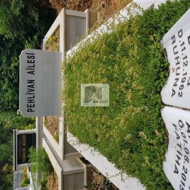 No: 5023 Yeşilik Ve Mevsimlik Çiçek Tasarım