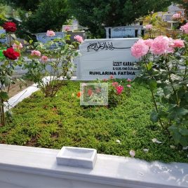 No: 5024 Yeşilik Ve Mevsimlik Çiçek Tasarım