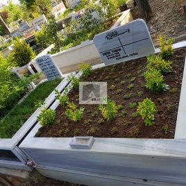 No: 5030  Yeşilik Ve Mevsimlik Çiçek Tasarım