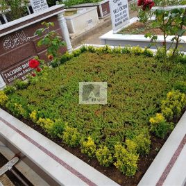 No: 5031 Yeşilik Ve Mevsimlik Çiçek Tasarım