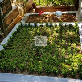 No: 5034 Yeşilik Ve Mevsimlik Çiçek Tasarım