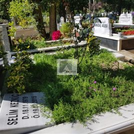 No: 5036 Yeşilik Ve Mevsimlik Çiçek Tasarım