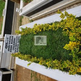 No: 5039 Yeşilik Ve Mevsimlik Çiçek Tasarım