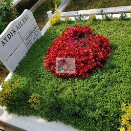 No: 4049 Üst Tasarım