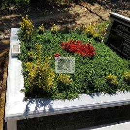 No: 5040 Yeşilik Ve Mevsimlik Çiçek Tasarım