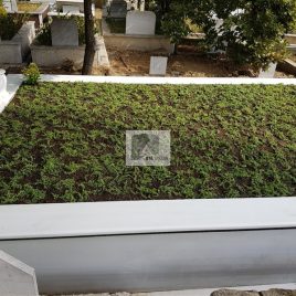 No: 5041 Yeşilik Ve Mevsimlik Çiçek Tasarım