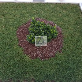 No: 5042 Yeşilik Ve Mevsimlik Çiçek Tasarım