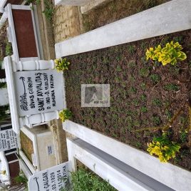 No: 5043 Yeşilik Ve Mevsimlik Çiçek Tasarım