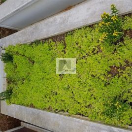 No: 5044 Yeşilik Ve Mevsimlik Çiçek Tasarım