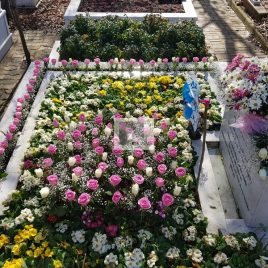 No: 4060 Üst Tasarım