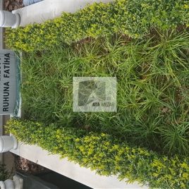 No: 5046 Yeşilik Ve Mevsimlik Çiçek Tasarım