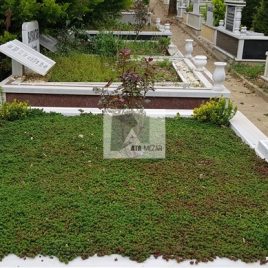 No: 5047 Yeşilik Ve Mevsimlik Çiçek Tasarım