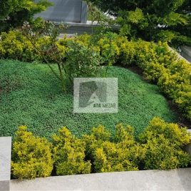 No: 5048 Yeşilik Ve Mevsimlik Çiçek Tasarım