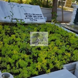 No: 5060  Yeşilik Ve Mevsimlik Çiçek Tasarım