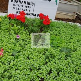 No: 5068 Yeşilik Ve Mevsimlik Çiçek Tasarım