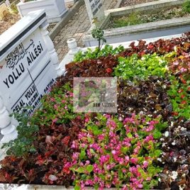 No: 4078 Üst Tasarım