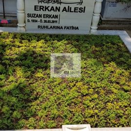 No: 5069 Yeşilik Ve Mevsimlik Çiçek Tasarım