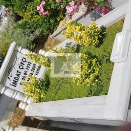 No: 5072 Yeşilik Ve Mevsimlik Çiçek Tasarım