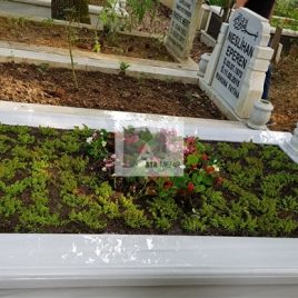 No: 5074  Yeşilik Ve Mevsimlik Çiçek Tasarım