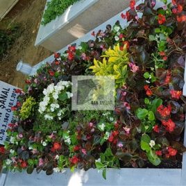 No: 4079 Üst Tasarım