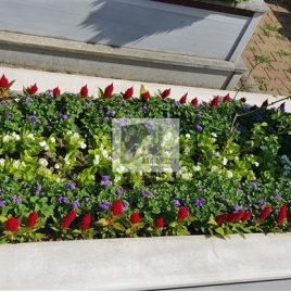 No: 4080 Üst Tasarım