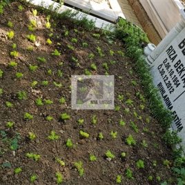 No: 5078 Yeşilik Ve Mevsimlik Çiçek Tasarım